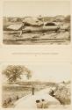 Canons donnés par la France et repris aux Annamites à Nam-Dinh / Défenses à triple étage de feux et triple enceinte de bambous élevées au nord de Hong-Hoa par les Pavillons-Noirs