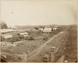 [Agricultural scene]