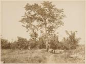 Conquinville à Chù, Environs de Hanoi