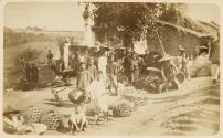 Marché aux chiens à Hanoï