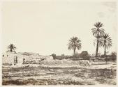 Oasis de M'Sila, vue prise de la station d'étalons
