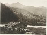 La Vallée de Grindelwald et la Wengernalp