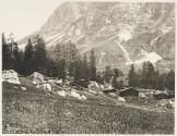 La Vallée de Grindelwald au pied du Wetterhorn