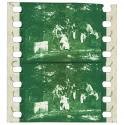 Menschenaffen