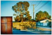 Untitled (Tucson)