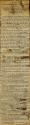 Newspaper article regarding 1893 Photographers' Convention