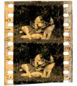 [Unidentified film clipping no. 4955...4970; 5358...5377; 22803...22810]