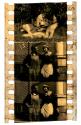 [Unidentified film clipping no. 4955...4970; 5358...5377; 22803...22810]