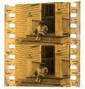 [Unidentified film clipping no. 4955...4970; 5358...5377; 22803...22810]