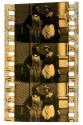 [Unidentified film clipping no. 4955...4970; 5358...5377; 22803...22810]