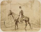 Comte de Paris