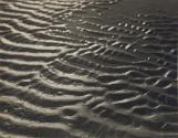 The Edges of a Sand-Spit After a Heavy West-Wind Storm