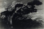 North Wind