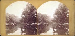 [View on the Rhine]