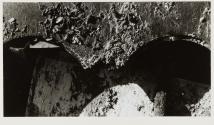 Shadow of Decay