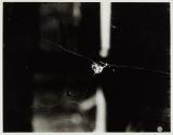 Untitled (AX 66 Bullet Glass Light)
