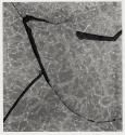 Dancing Window Reticulated (1958)