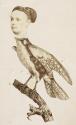 [Zoomorphic caricature]