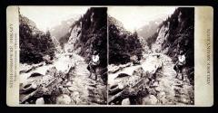 [Austria-Hungary]