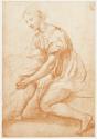 [Raphael's La vierge de François Ier]