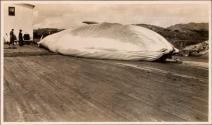 Whale carcasse on dock, Labrador Trip
