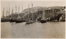 Sailing vessels in small harbor, Labrador Trip