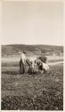 Digging for clams, Labrador Trip