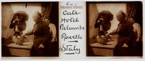 Cats Hotel Palumbo Ravello Italy