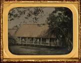 [Thatched roof building in the South Sea Islands, Samoa]