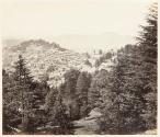 Simla, general view of Simla from Jakko