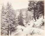 Simla in winter, view from Talbot House during the winter