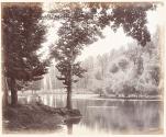 Kashmir, view on the Dhul Canal