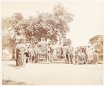 Group of Elephants, a group of His Excellency the Viceroy's elephants with their state trappings