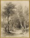 Entrée de forêt