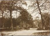 [Nature trails in wooded area]