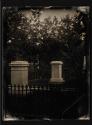 [Tisdale and Hewins burial lots, Mount Auburn Cemetery]