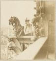Gargoyle, Notre Dame de Paris