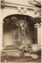 [Plants under archway]