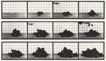 668. Beets assembling [var. "Detroit Dark Red"]
