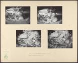 [Destruction of House #1]
