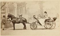 Poney chaise