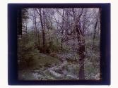 [Garden view]