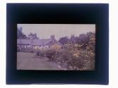 [View of house and garden]