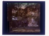 [View of house and garden]