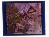 [View of house and flowers]