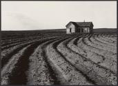 Tractored Out, Childress County, Texas