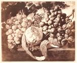 Fruit, by Lance