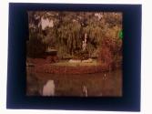 wILLOW pOND ga-47