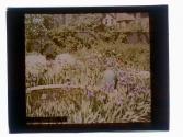 [House and garden]