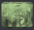Fish and Fowl